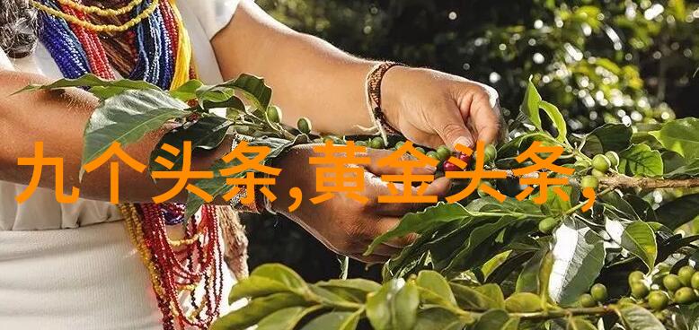 凤凰网探索艺术时尚与娱乐圈小说的跨界融合新趋势名流大咖齐聚凤凰雅宴交流创意灵感共同打造文化盛宴