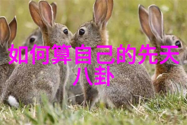 夏日阳光下的比基尼美女写真展