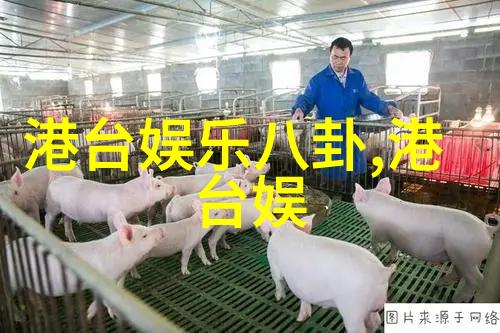 尤物入口v1.0高级会员专属体验