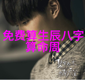 在荧屏上的真假娱乐圈小说中的角色分析