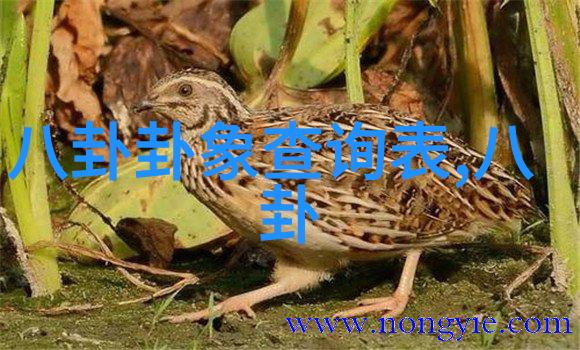 心痛到撕心裂肺的图片我的泪也要为你落幕