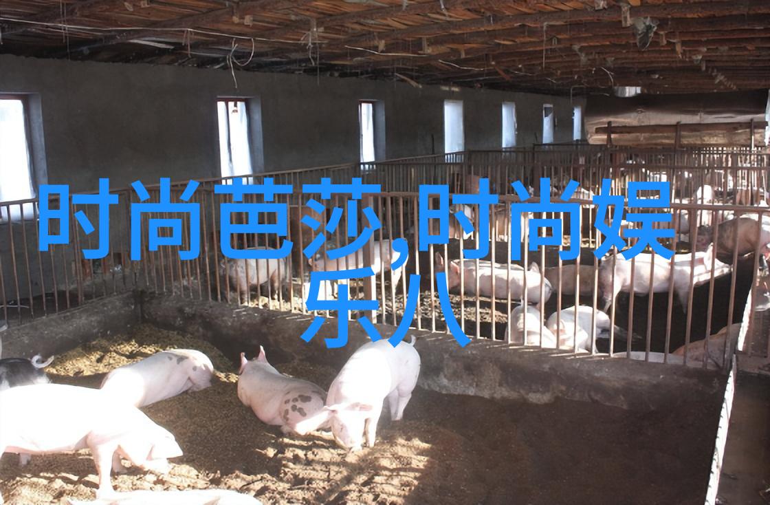 电视剧的无限魅力探索文化与娱乐的交汇点
