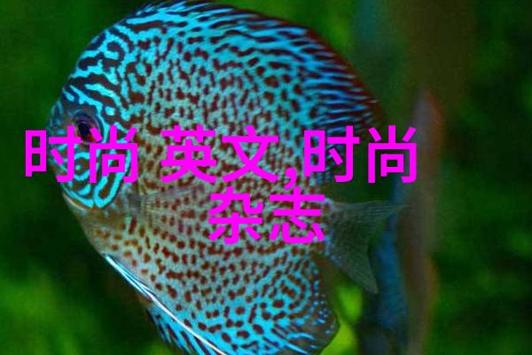 图像追踪器揭秘图片来源识别网站的神奇力量