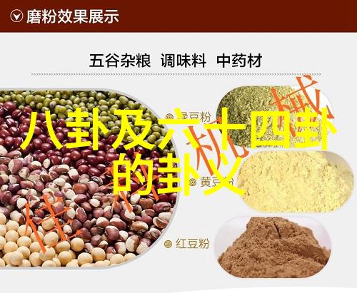 Lucas与弟弟小Q扮消防员 学爸爸变救火英雄