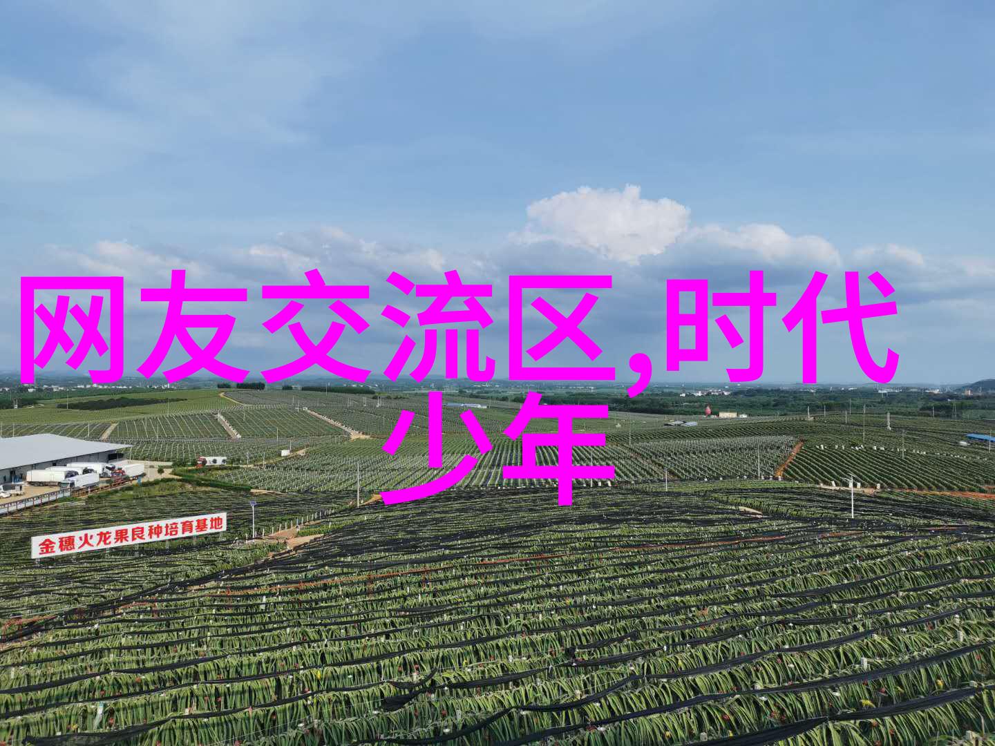 娱乐界巨擘的秘密生活天涯无尽的变态游戏