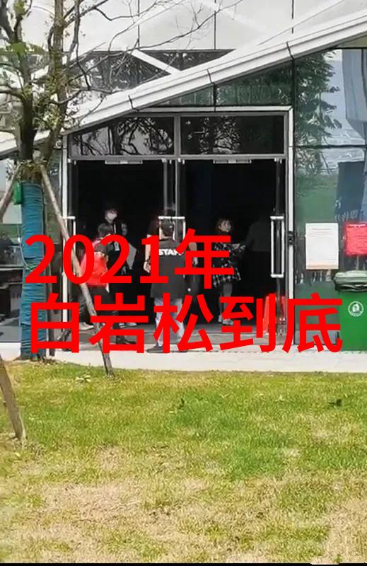 16gipad我的小智伴