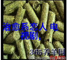 夜生活守则点亮城市魅力之光
