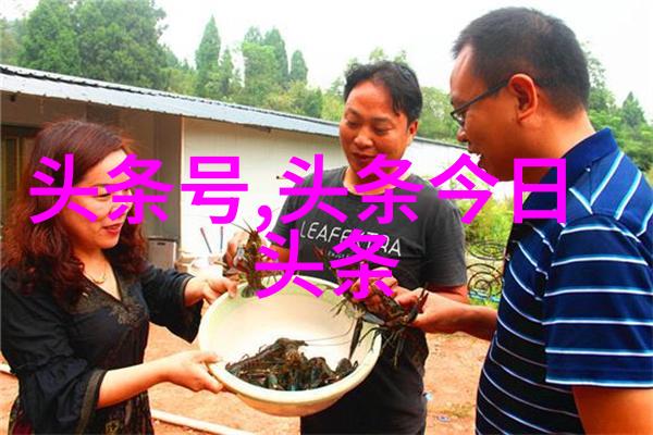 探索三月的星辰水瓶座与双鱼座的奥秘