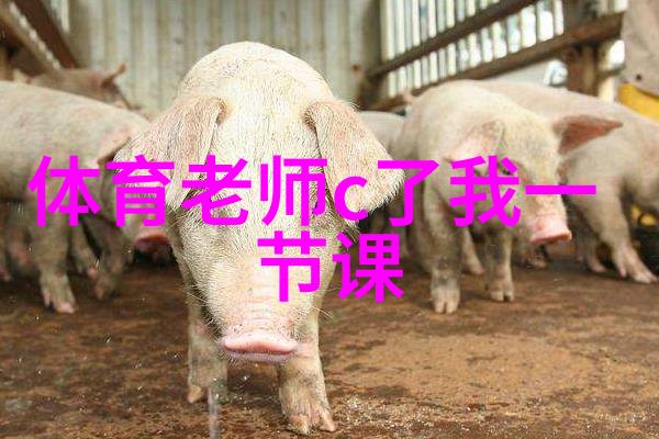 易经女人的命运转折点揭秘十个不可触碰的事项