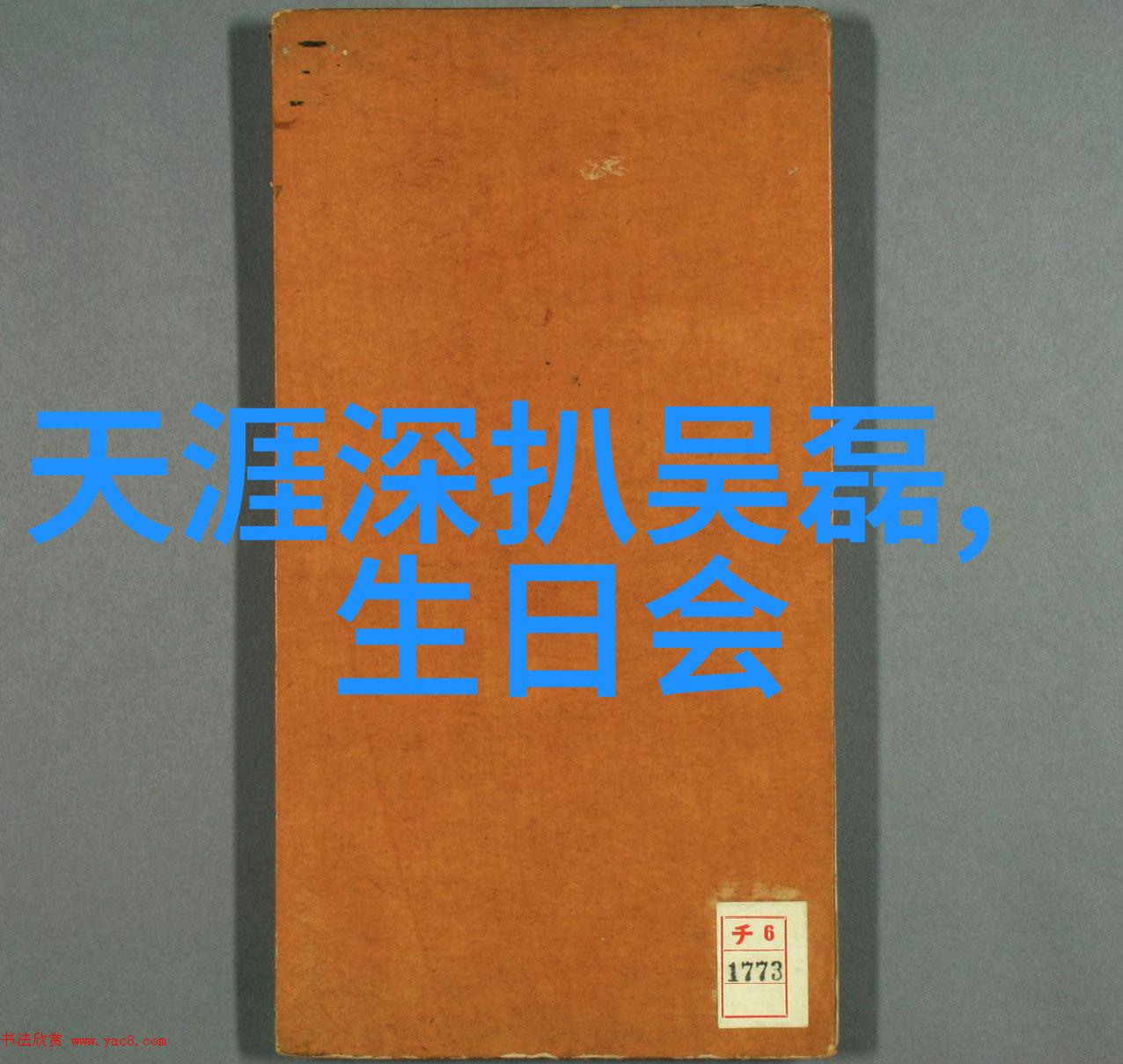 东北美食网红味蕾上的春天冰雪辉映下的时尚潮流东北街头模特儿的迷人魅力探秘东北网红景点自然风光与民俗文