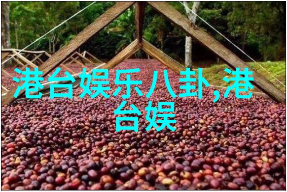 流媒体服务平台是否能取代传统卫视的作用