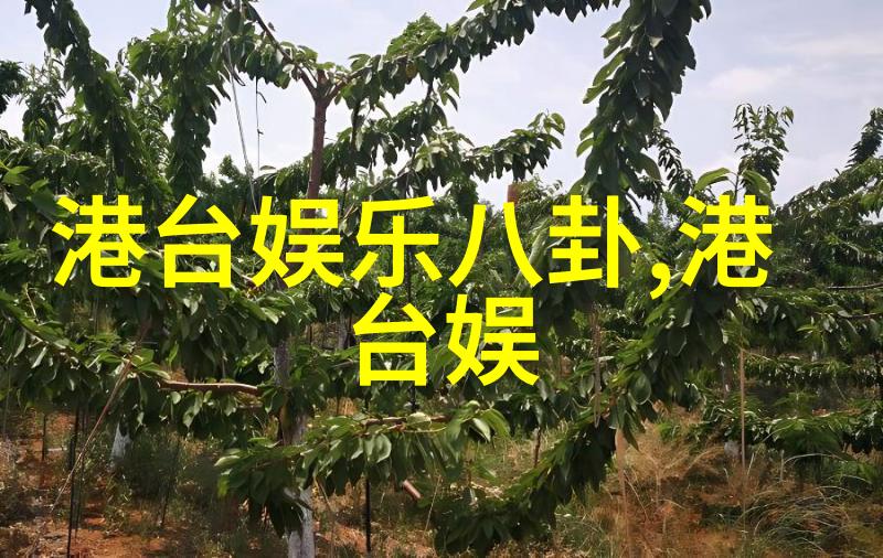 探索网络直播的边界寻找最为开放的空间