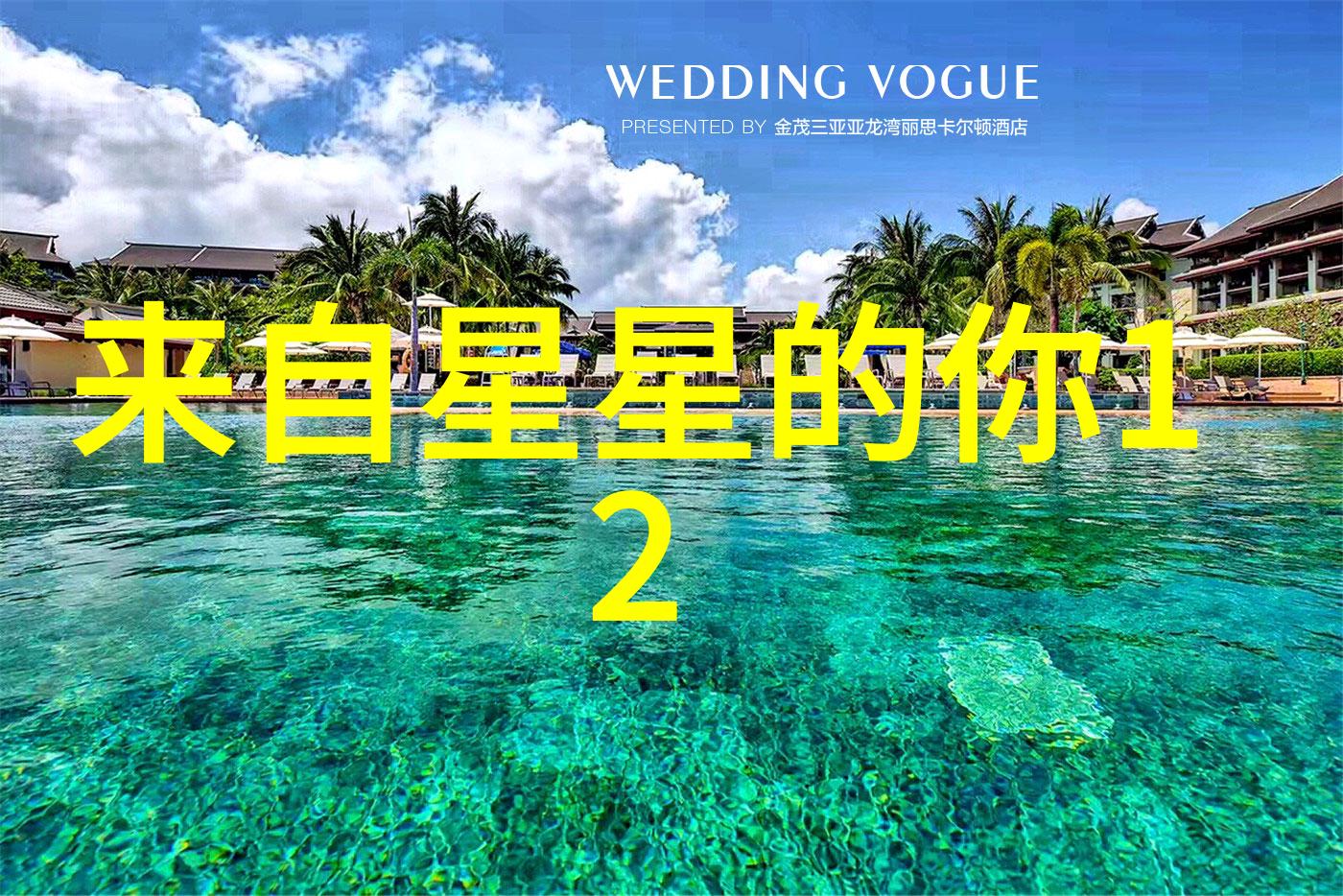 《星际迷航：来自星星的十二使者》
