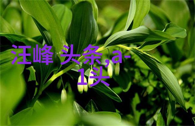 追逐瞬间 明星写真中的意境与表达