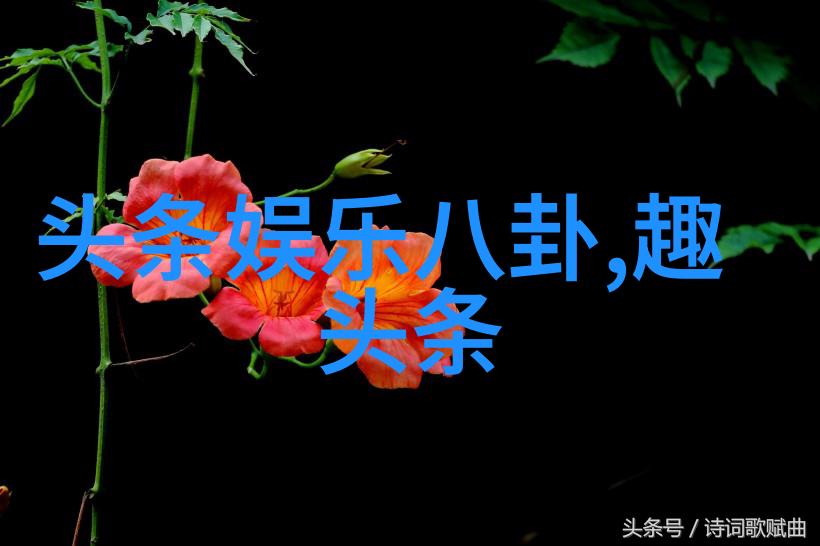他们在粉丝群体中分别以什么形象被推崇
