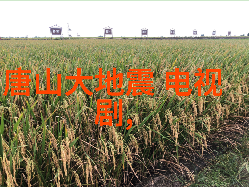 晨跑中人生感悟在自然的怀抱里寻找生活的力量