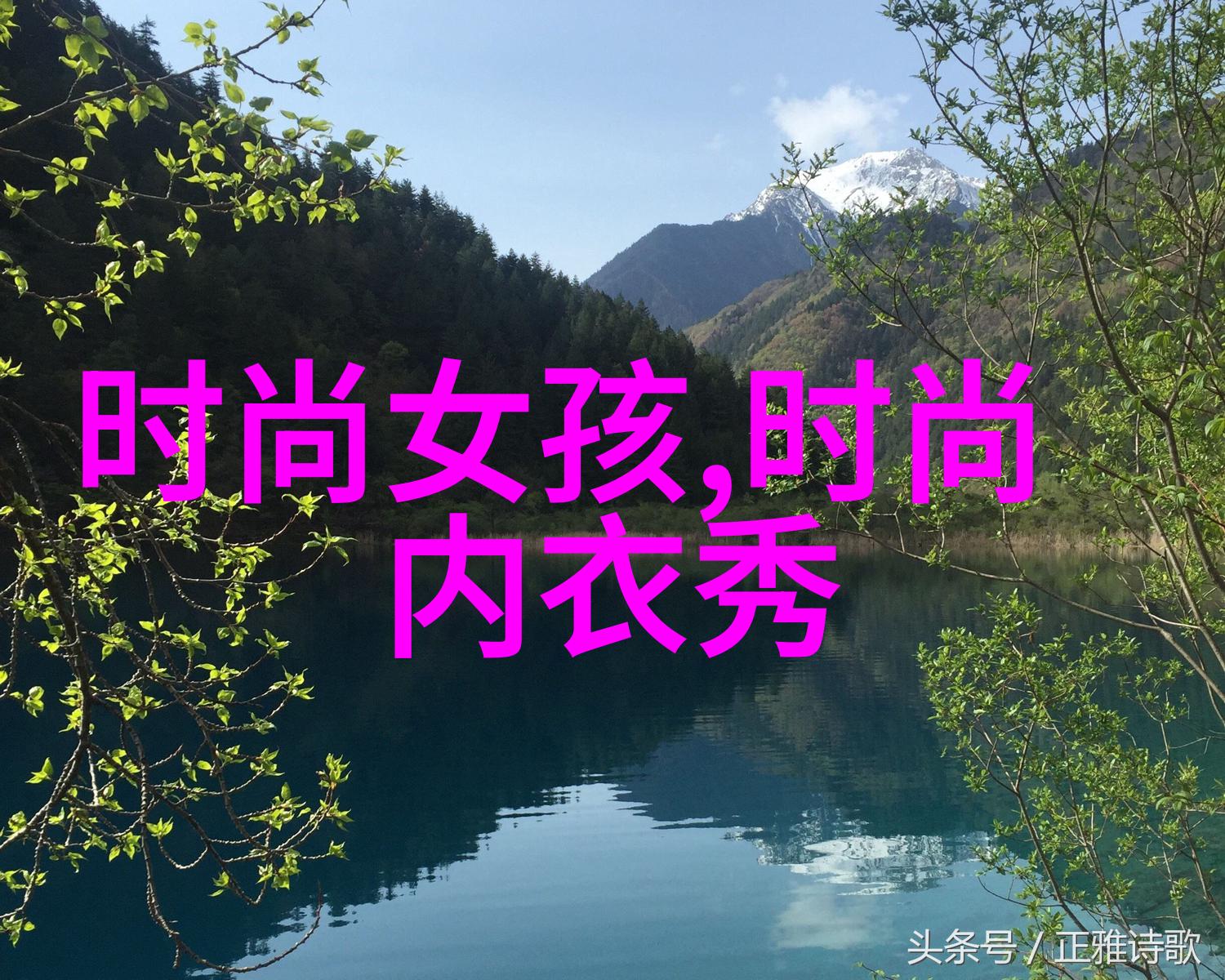 音律缤纷酷狗旋律之旅