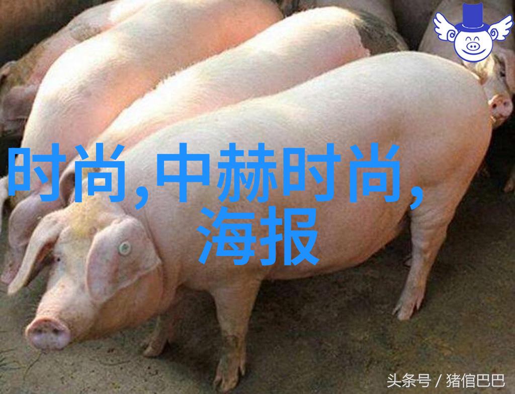 如何看待张筱雨写真中的时间与空间感对比以及它们所传达的情感层次