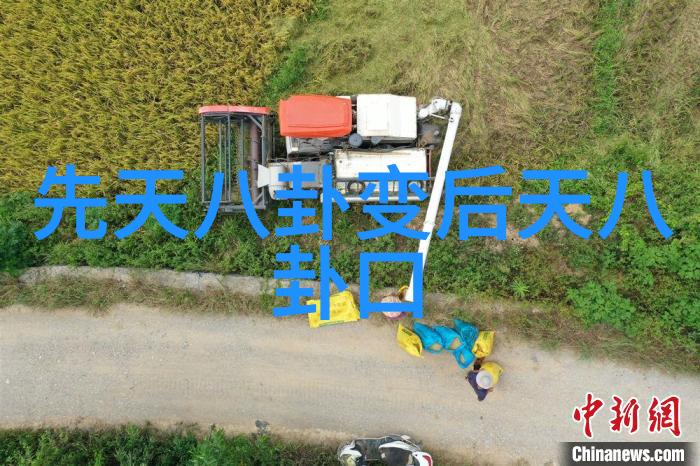 追剧不花钱全网最火的影视软件