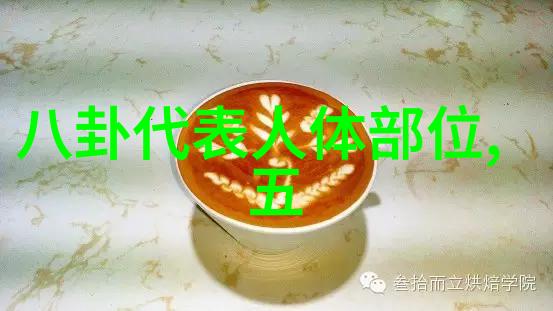 大陆的秘密未知之地的呼唤与回响