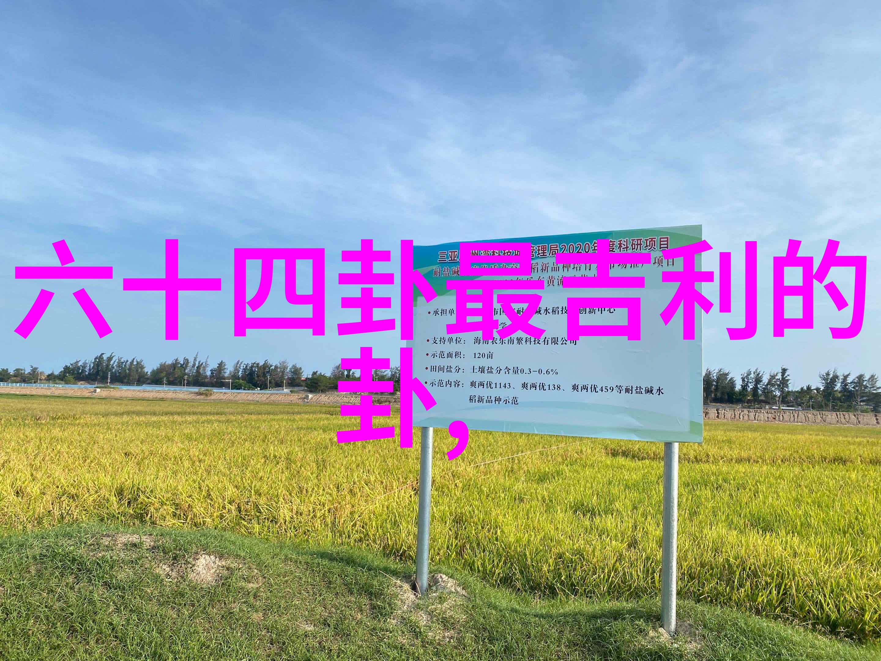 公主的男人剧情精彩挽救收视率