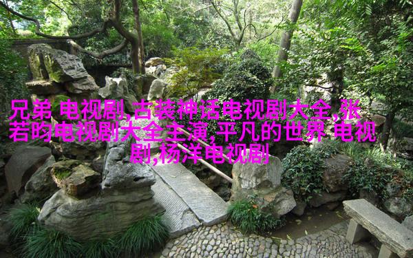 家庭客厅里的植物