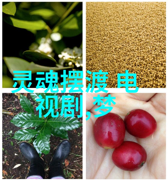 华语电影年度盛典揭晓哪些作品获得了殊荣