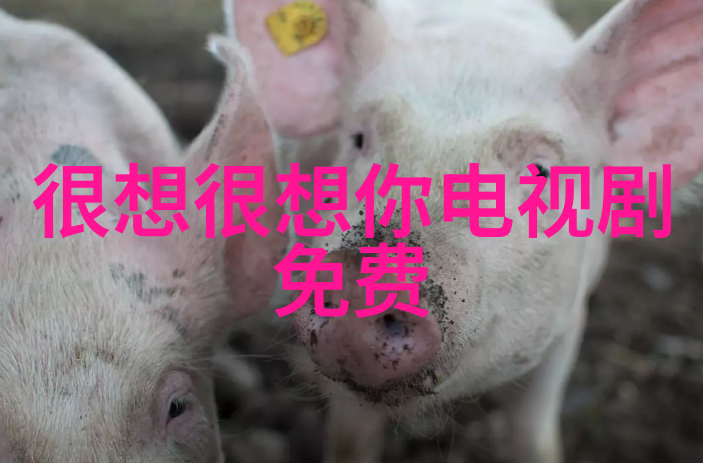温暖的触碰女生的胸贴着男生脸的那一刻