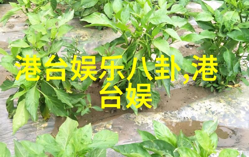 星辰之下八卦秘闻