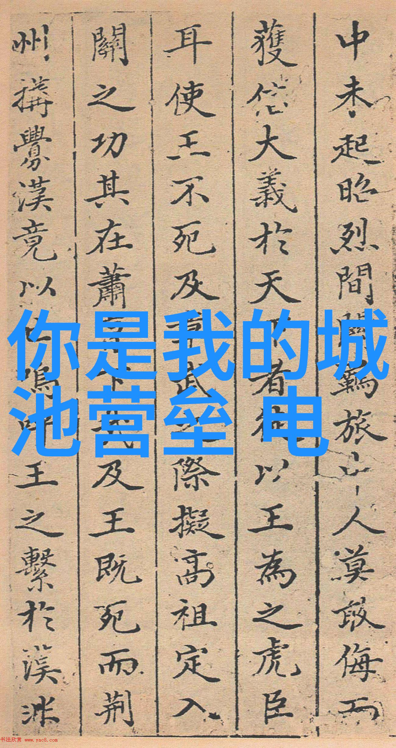 闪耀舞台综艺盛宴