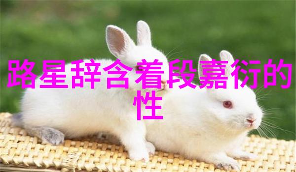 那村那人那傻瓜txt - 傻瓜的智慧探索那村背后的故事