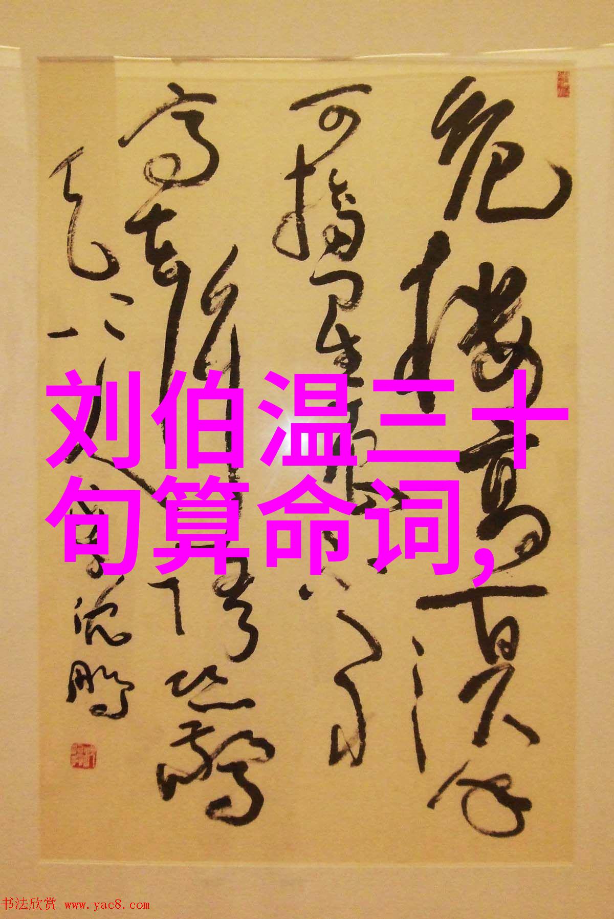 美少年学社青春学问与英俊风采的完美融合