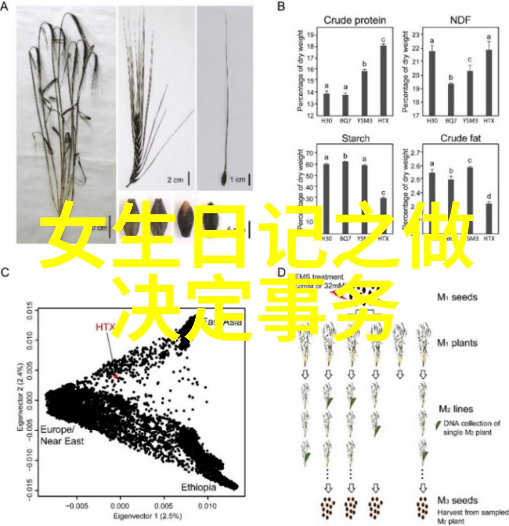英皇娱乐的黑历史斗鱼丸子yooo背后的秘密有多暗