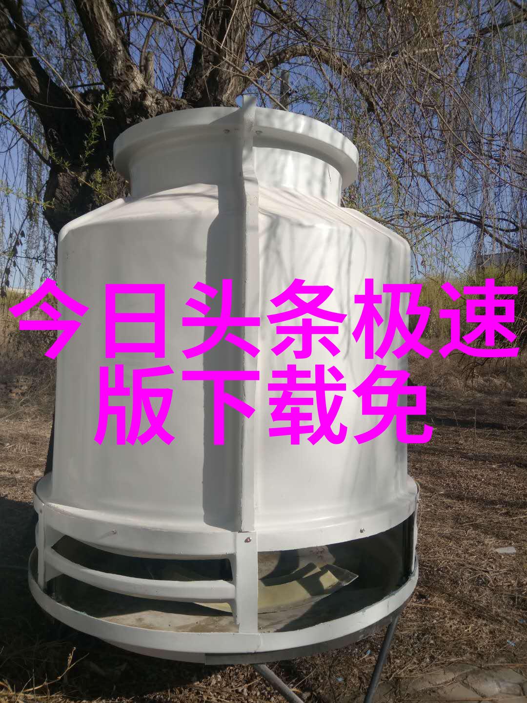 娱乐新闻头条 - 星光闪耀第五届明日之星颁奖礼红毯亮相