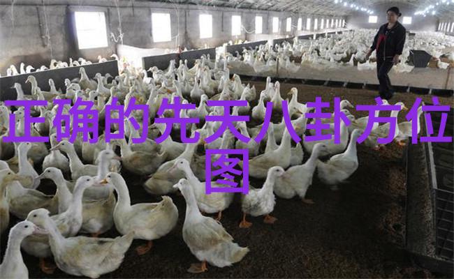 八卦背后的秘密是什么揭开那些流言蜚语的真相