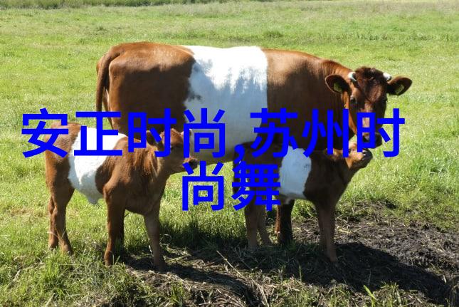 美女写真我怎么拍出那张让她脸红的美丽照片