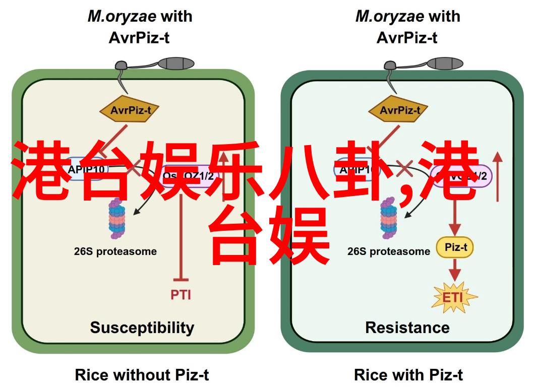 谁能抗拒八卦吊坠的魅力