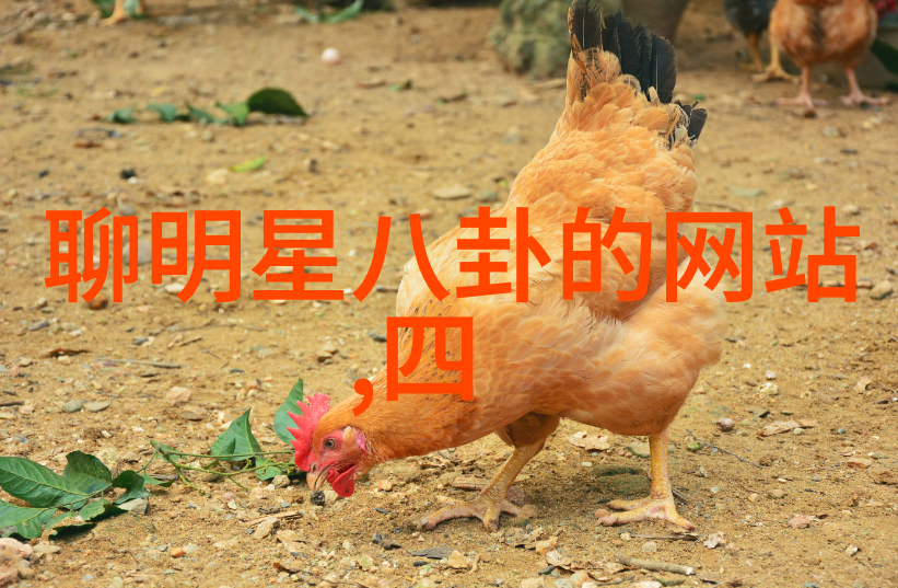 日本美女写真东京时尚之光