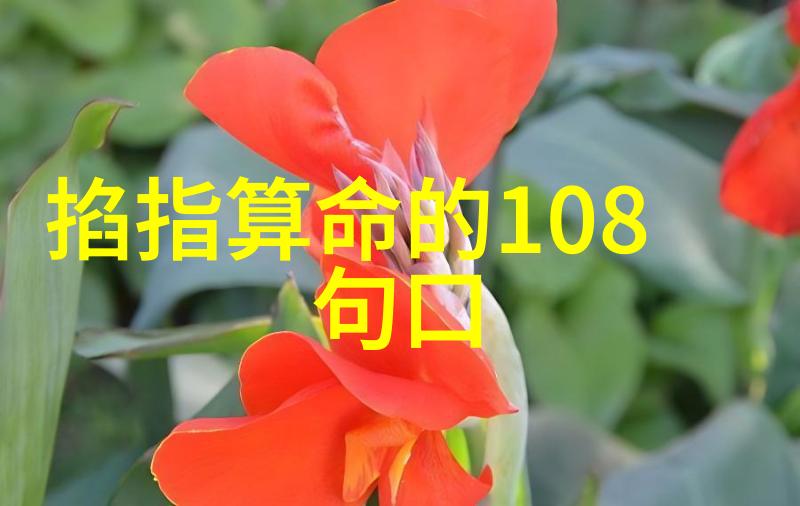 湖南娱乐频道纪念百年建卫成就与未来的展望