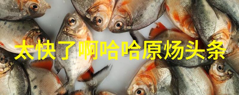 不同风格下的挑战从经典到现代探索多样化的摄影风格