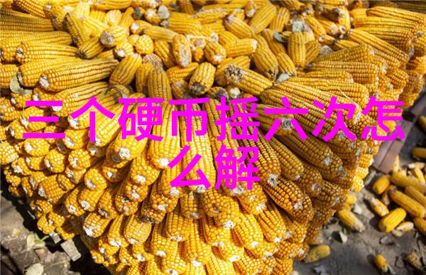 学爸学爸的电影之旅从零到英雄的故事