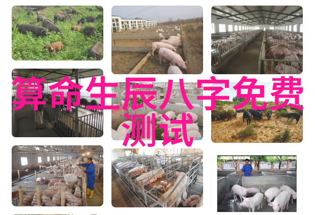 背景图片高清大图在室内装饰中的应用有哪些技巧