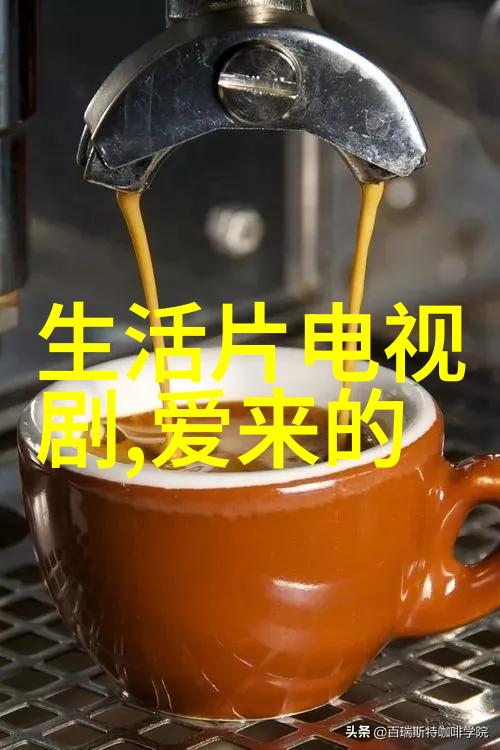 哀家有了 - 家国情愁哀家的忧愁与希望