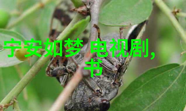 老扒误食舂药之祸三个熄妇的故事