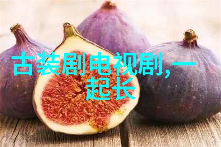 极限挑战逆袭者