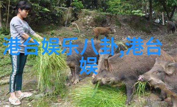 夜幕下的银河梦想星空影视的奇迹之旅