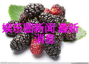 生意兴隆分析直播平台上最赚钱的网红类型