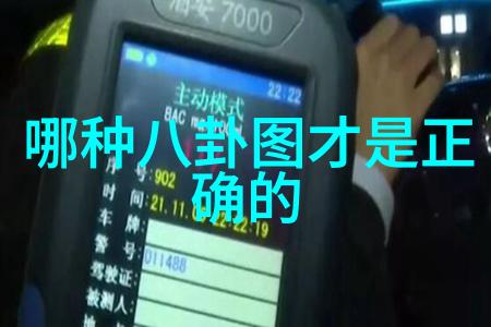 伪装者影子的双面