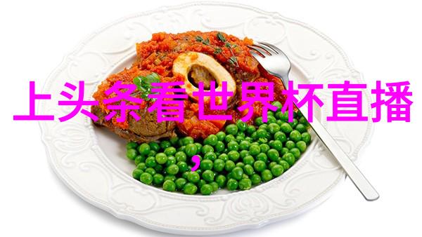 张筱雨写真作品集艺术与生活的交响曲