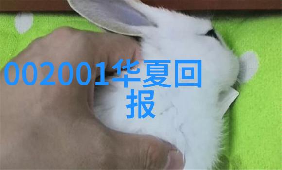 从烤鸭到烧烤中国吃播人气排行榜